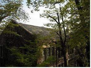 서울 연세대학교 스팀슨관 — 연세대학교스팀슨관
