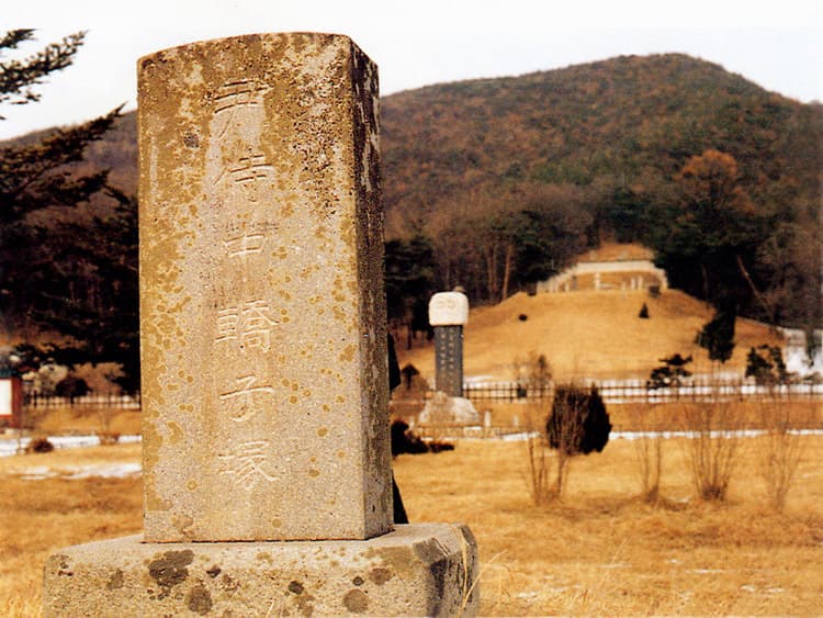 파주 윤관장군묘 — 교자총