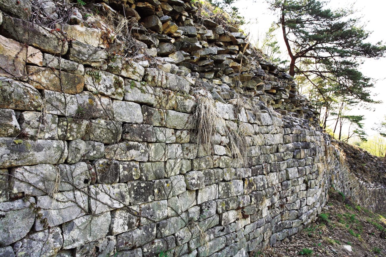 충주 장미산성 — 충주 장미산성 남쪽 성벽