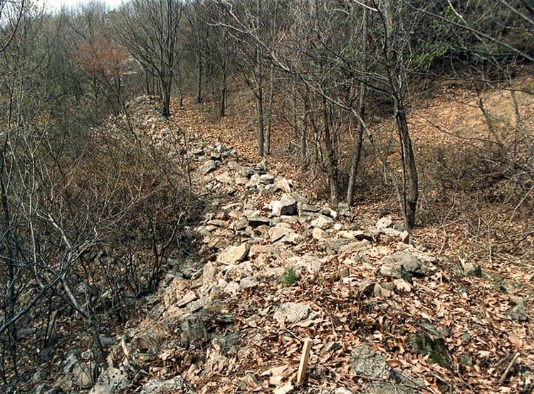 충주 장미산성 — 성곽