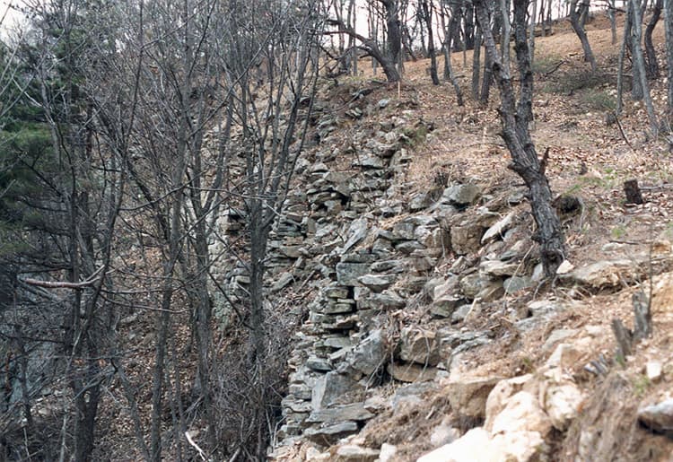 충주 장미산성 — 성곽