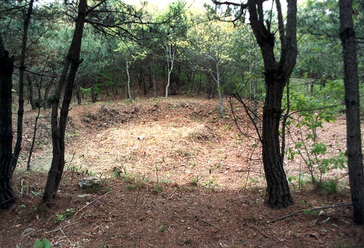 충주 장미산성 — 연지