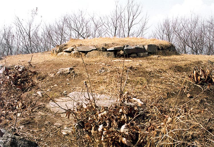 진천 김유신 탄생지와 태실 — 김유신탄생지및태실(태실)