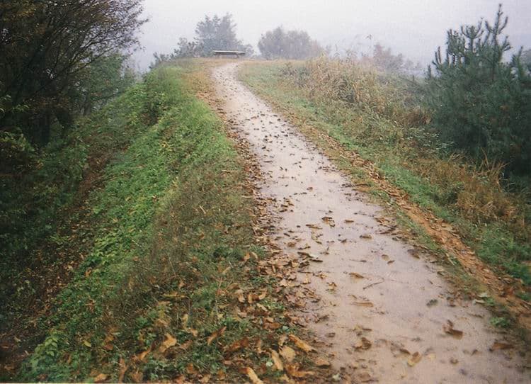 공주 공산성 — 공산성토성
