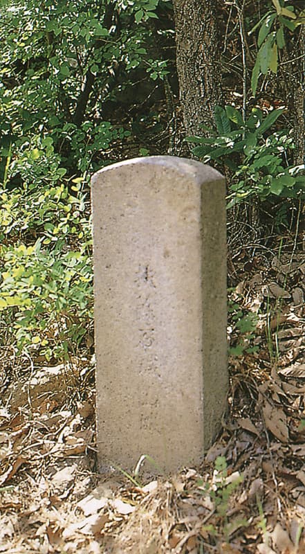 부여 석성산성 — 부여석성산성비