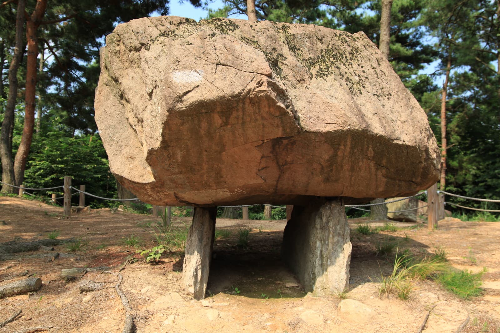 고창 죽림리 지석묘군 — 지석묘