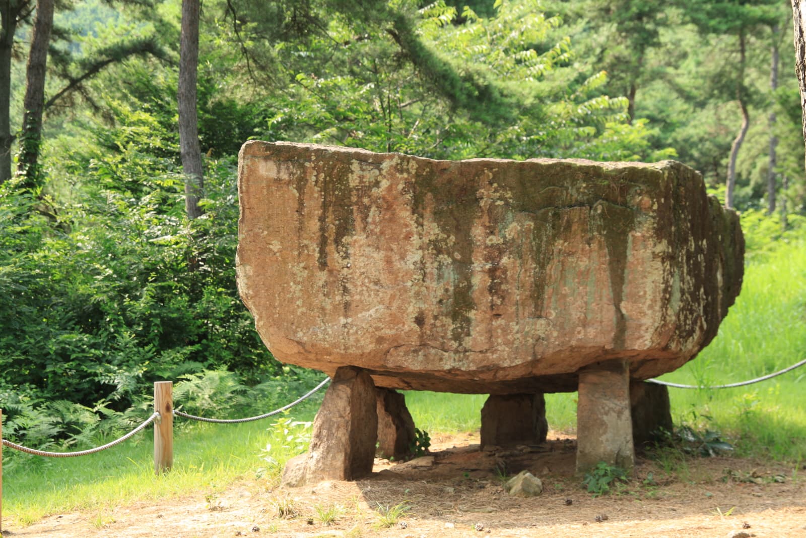 고창 죽림리 지석묘군 — 지석묘