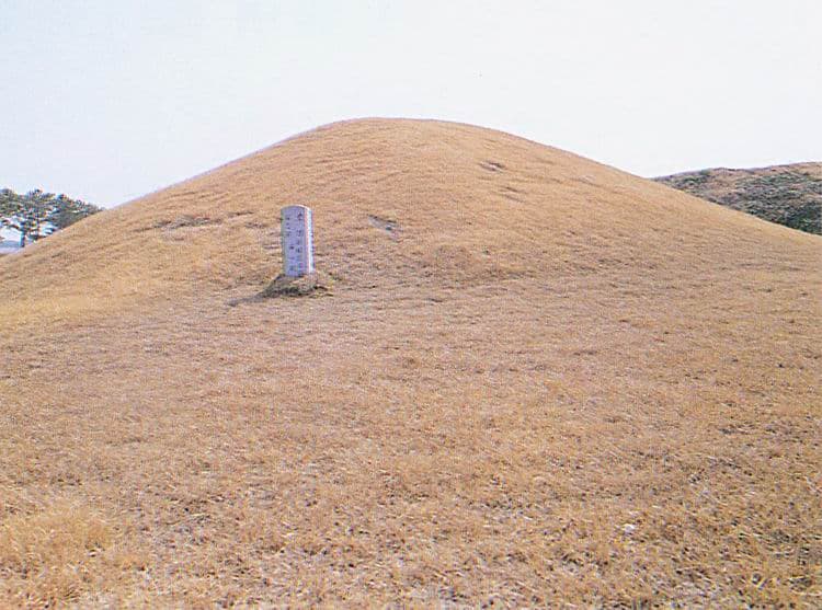 나주 반남 고분군 — 나주신촌리고분군1