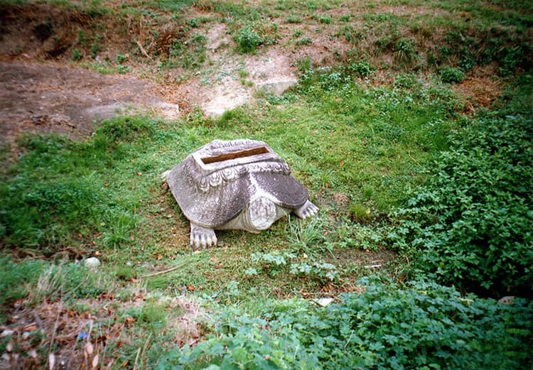 경주 사천왕사지 — 귀부