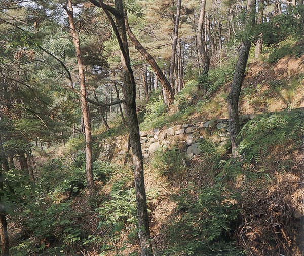 경주 남산신성 — 경주남산성