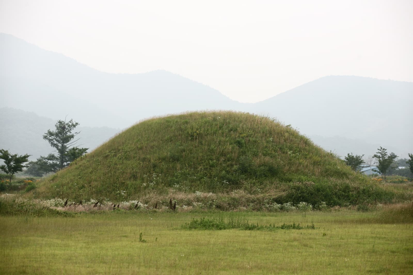 경주 금척리 고분군 — 고분