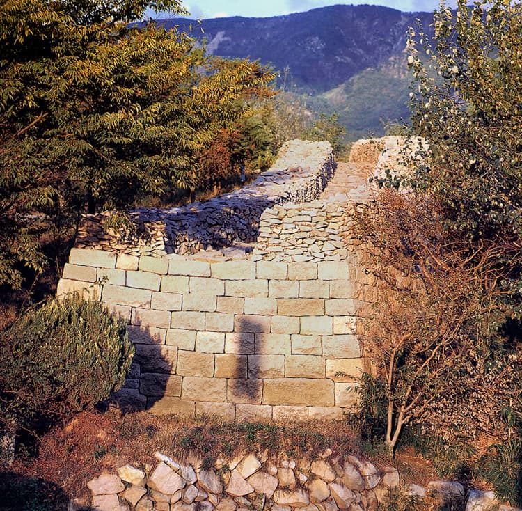관문성 — 관문성