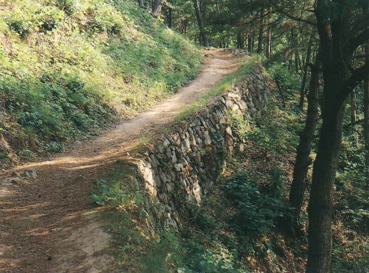 고령 주산성 — 고령주산성성벽