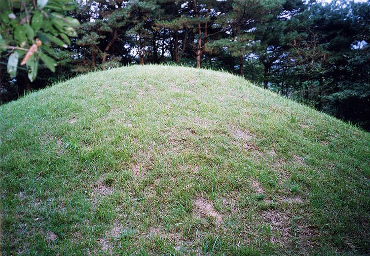 경주 희강왕릉 — 경주 희강왕릉 전경