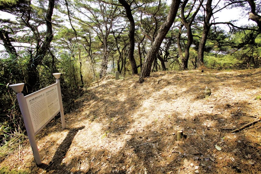 경주 구정동 고분군 — 경주 구정동 고분군 근경