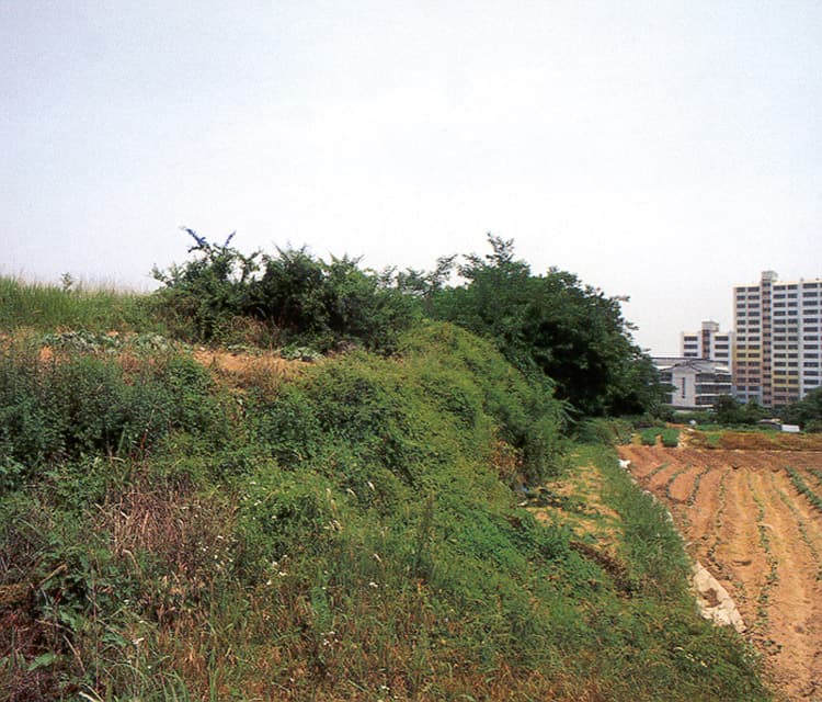 김해 구산동 고분군 — 김해구산동A고분군