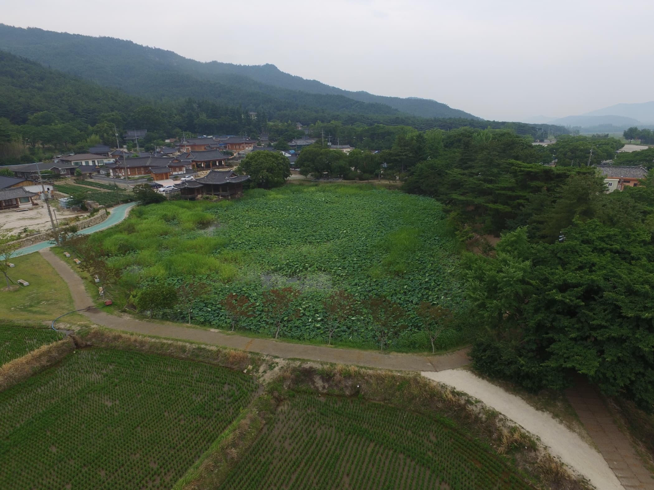 경주 서출지 — 경주 서출지 남쪽상공(북쪽으로 조망) (고도보존육성과, 2017)