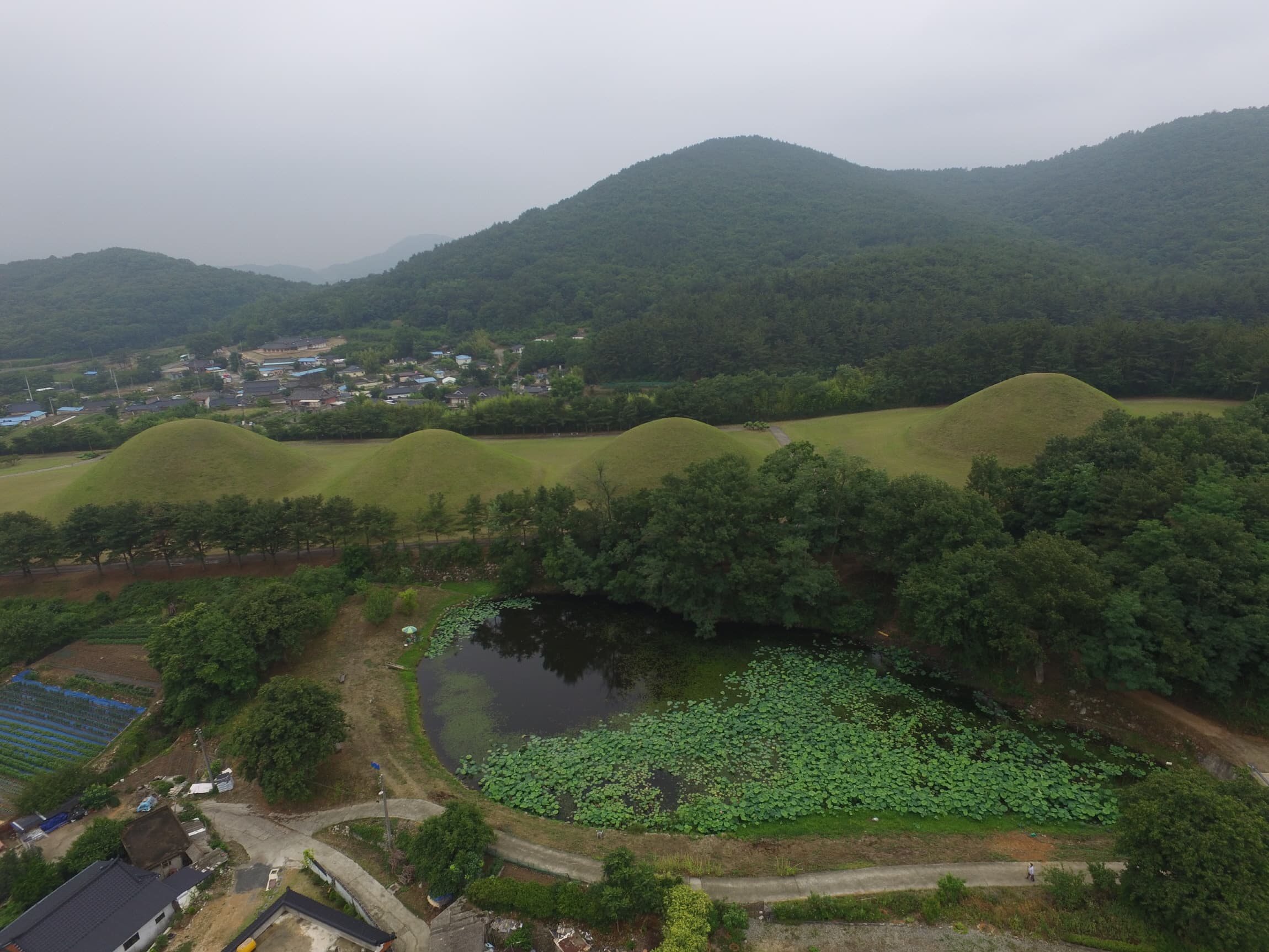 경주 서악동 고분군 — 경주 서악동 고분군서쪽상공(동쪽으로 조망) (고도보존육성과, 2017)