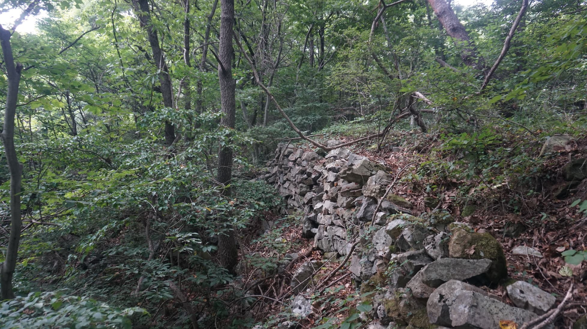 경주 부산성 — 경주 부산성 성벽 잔존구간 하부 석재유구3 (고도보존육성과, 2017)