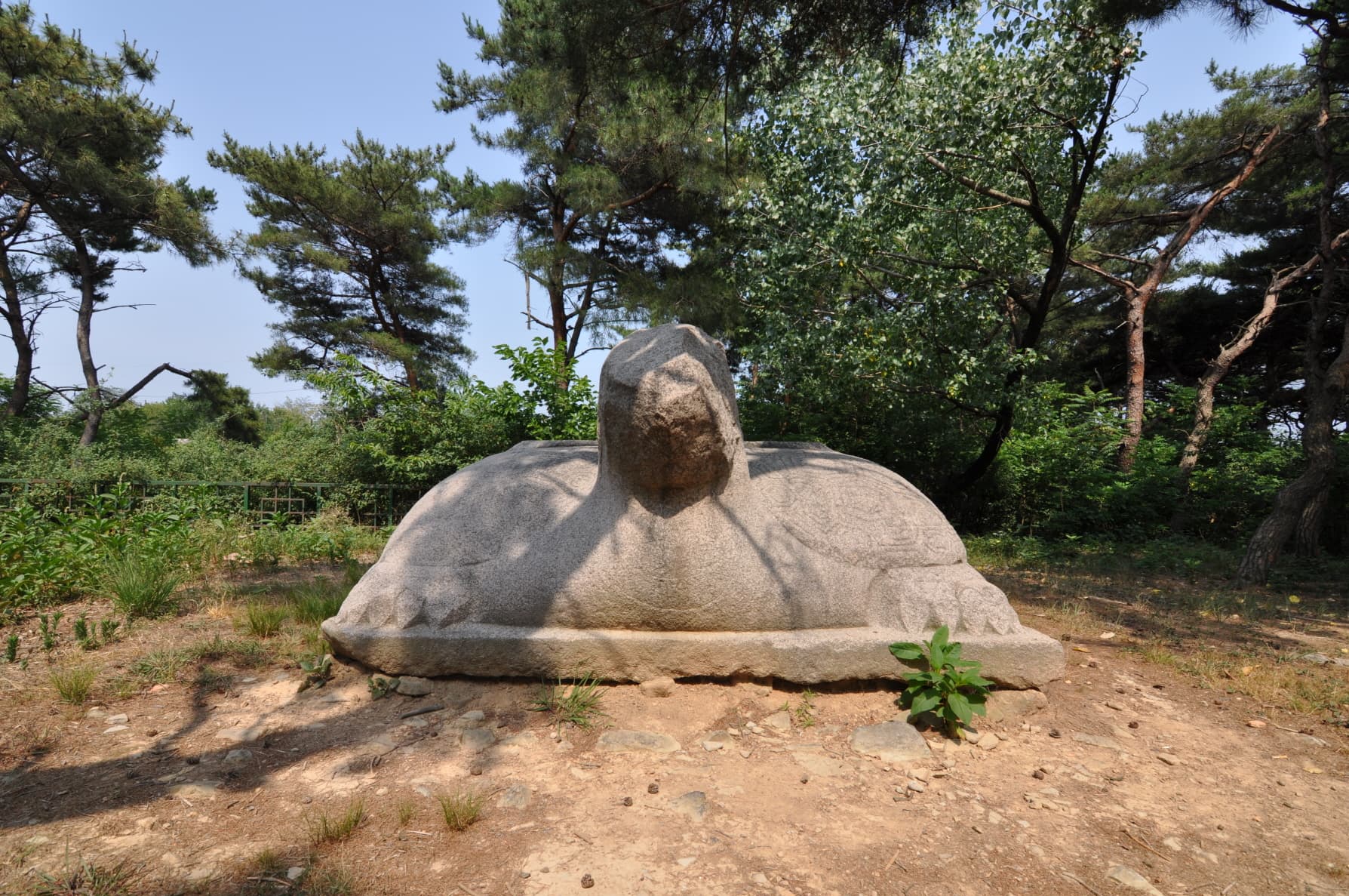 경주 흥덕왕릉 — 경주 흥덕왕릉 귀부 (고도보존육성과, 2017)
