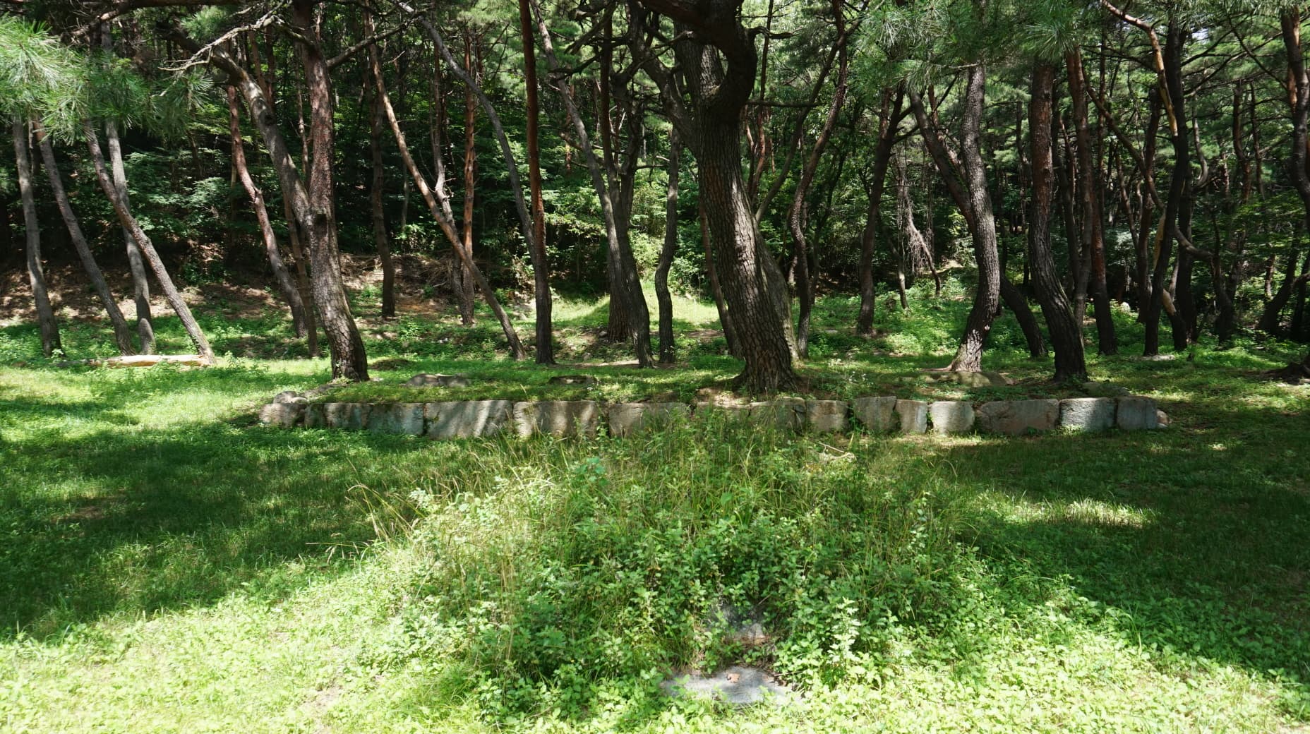경주 원원사지 — 경주 원원사진 금당지 (고도보존육성과, 2017)