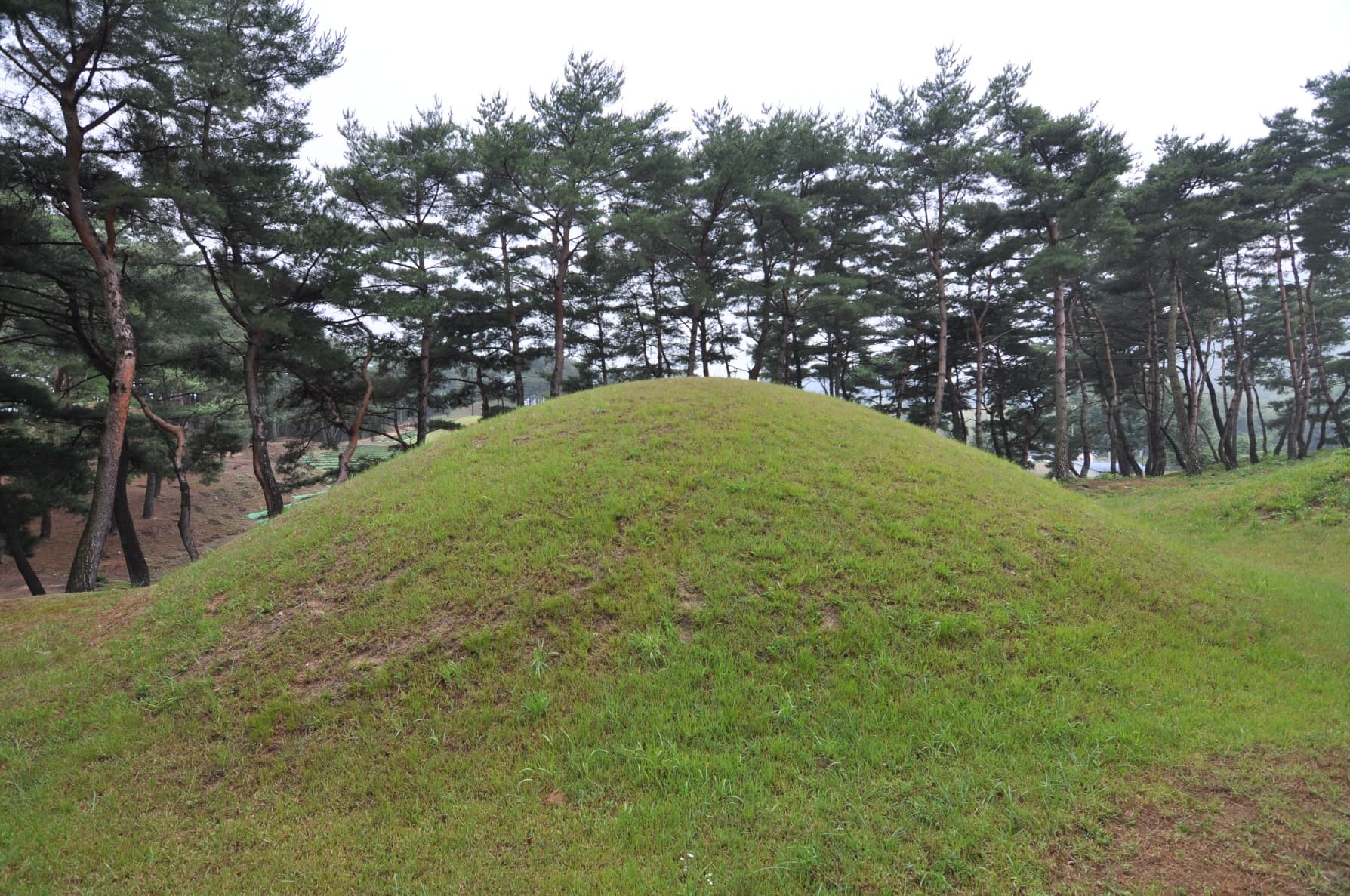 경주 문성왕릉 — 경주 문성왕릉 배면 (고도보존육성과, 2017)