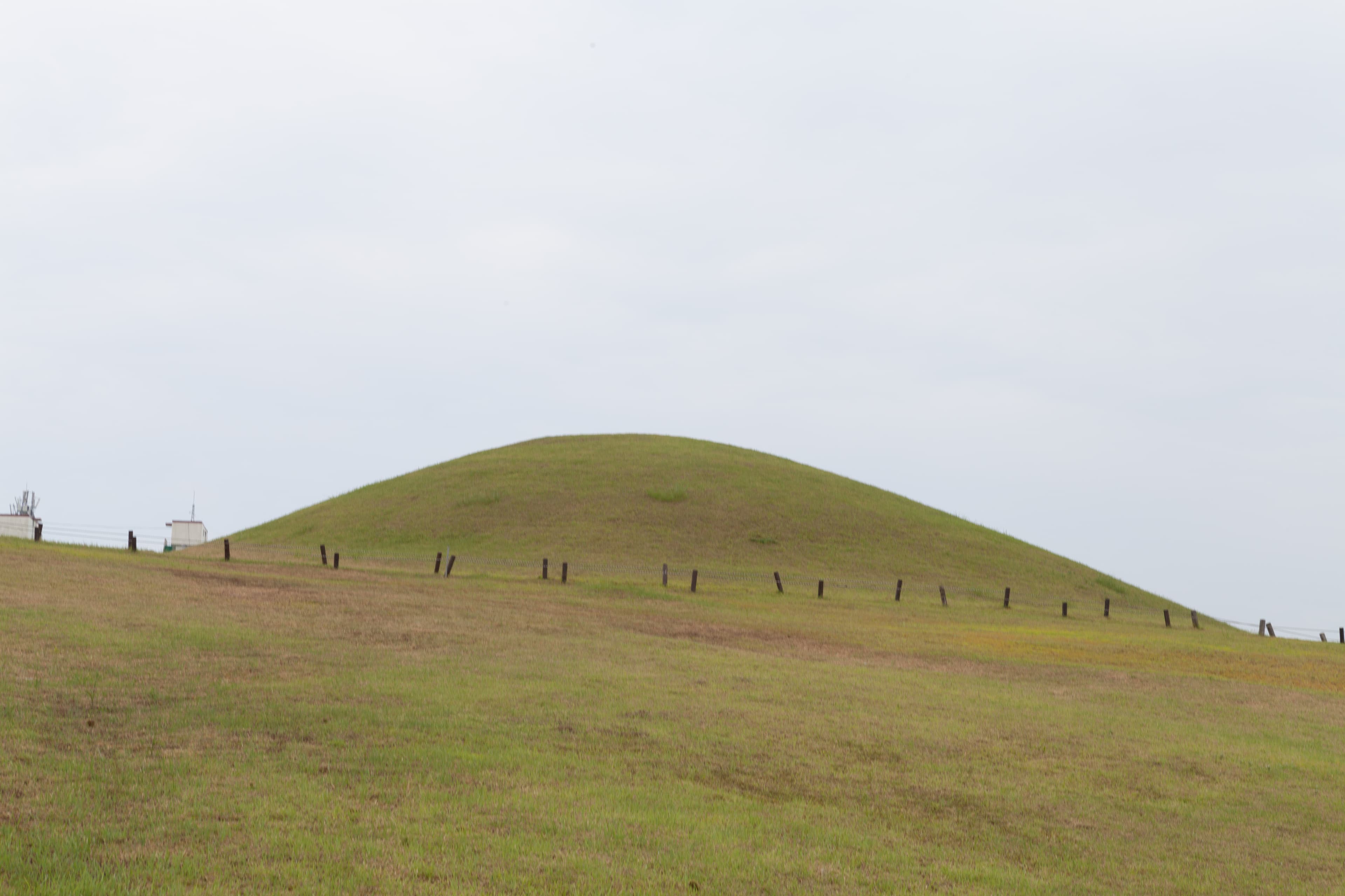 고성 송학동 고분군 — 고성 송학동 고분군_능선2 (촬영년도 : 2015년)