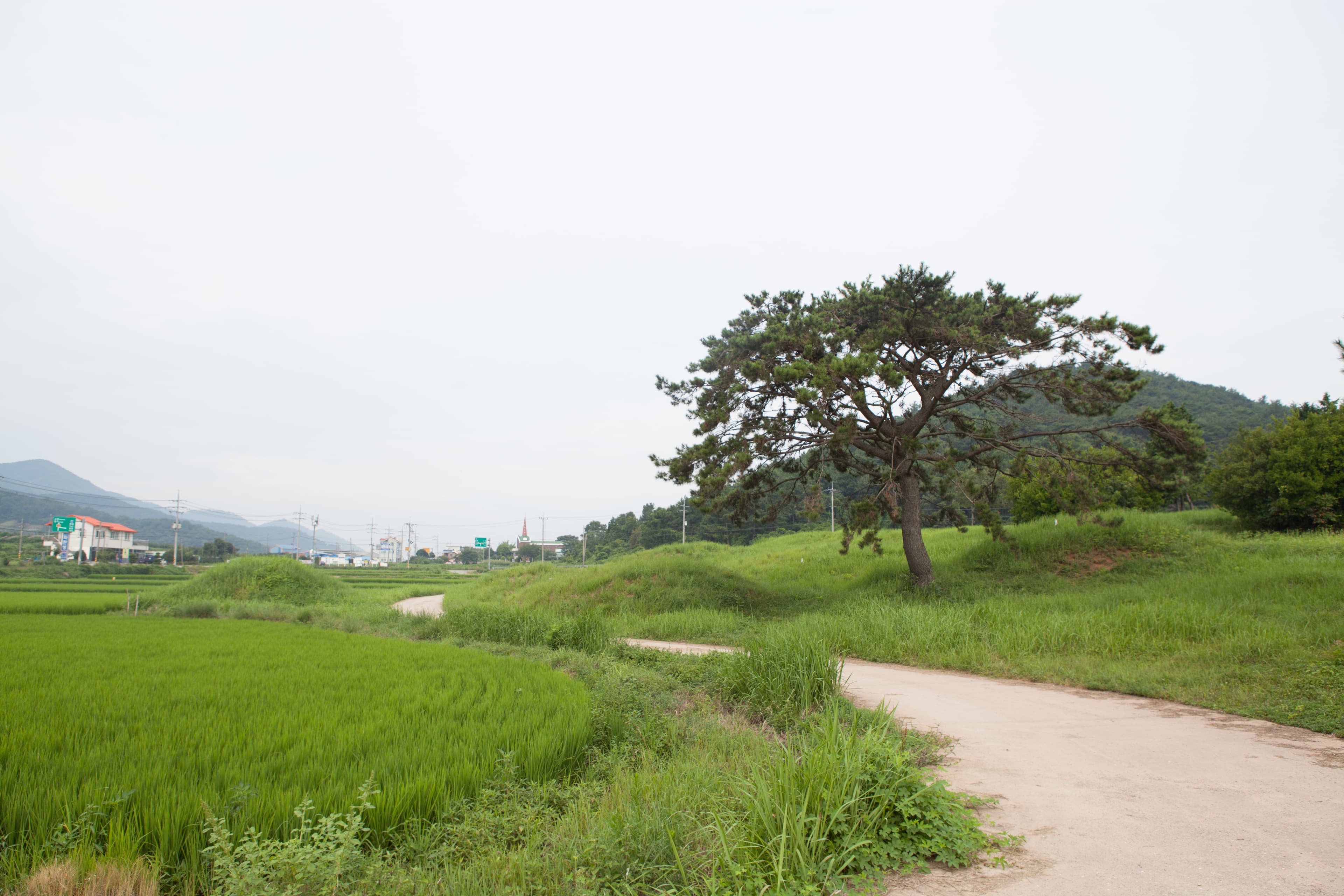 고성 내산리 고분군 — 고성 내산리 고분군_능선 (촬영년도 : 2015년)