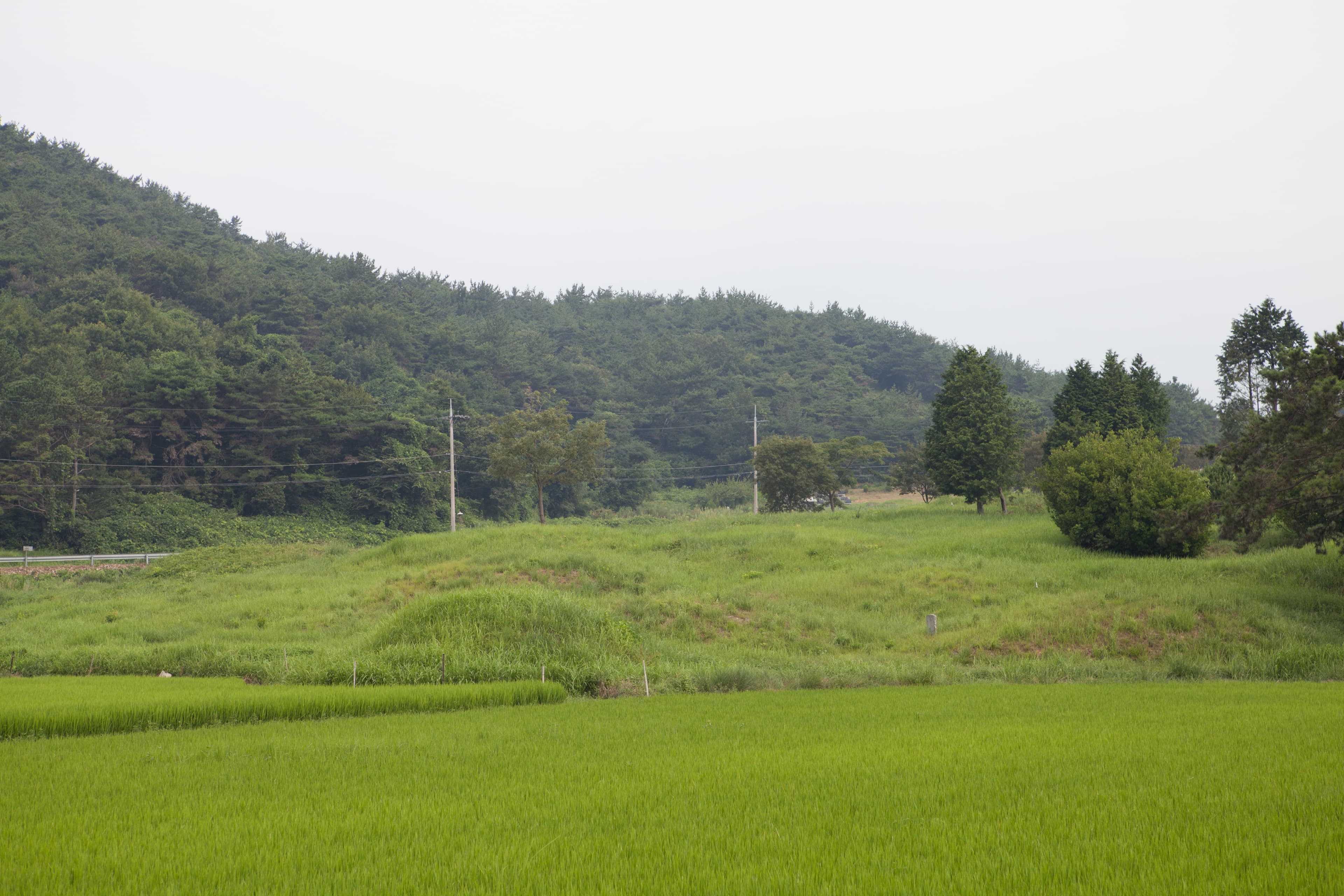 고성 내산리 고분군 — 고성 내산리 고분군_능선2 (촬영년도 : 2015년)