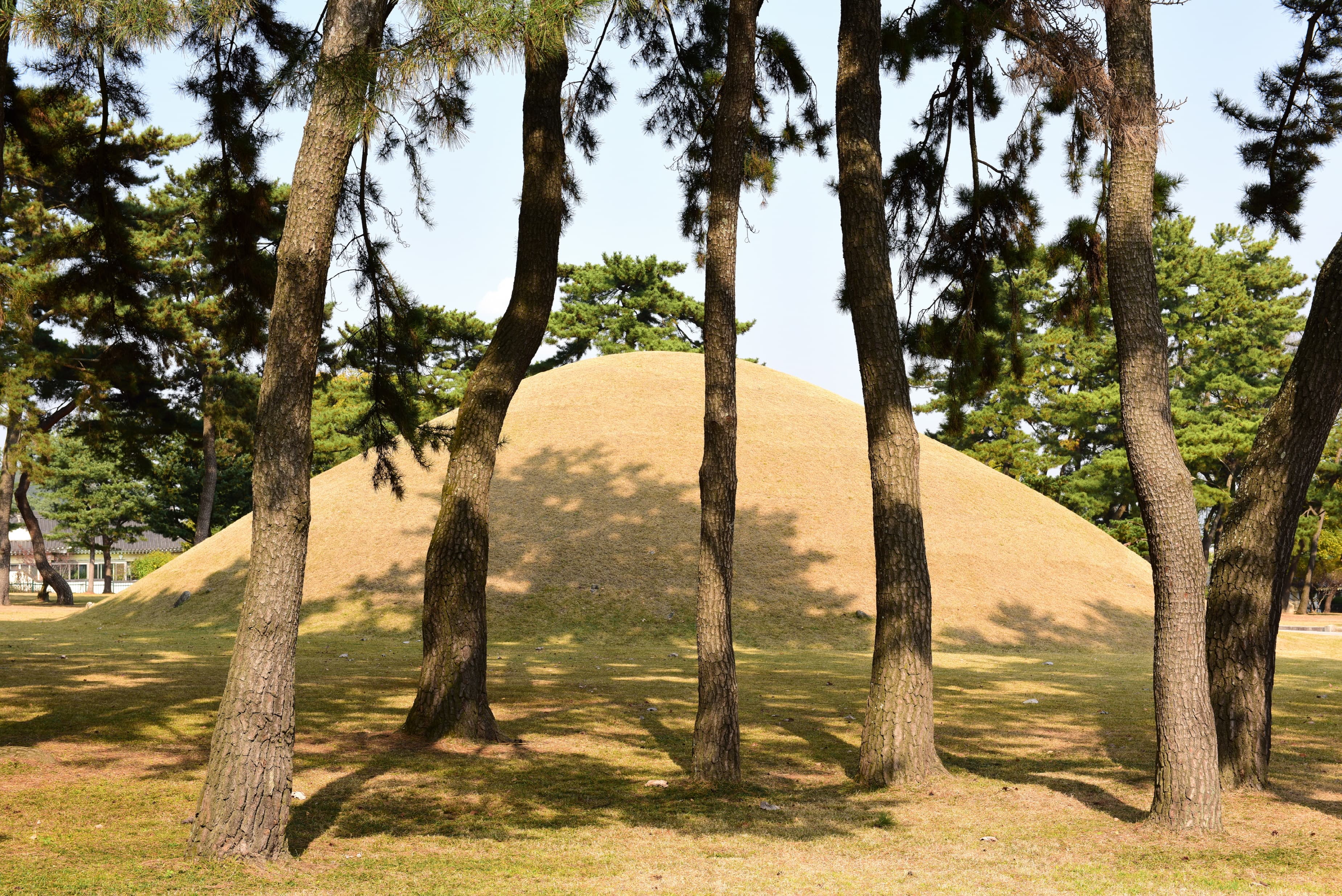 경주 무열왕릉 — 경주 무열왕릉_배면 (촬영년도 : 2015년)