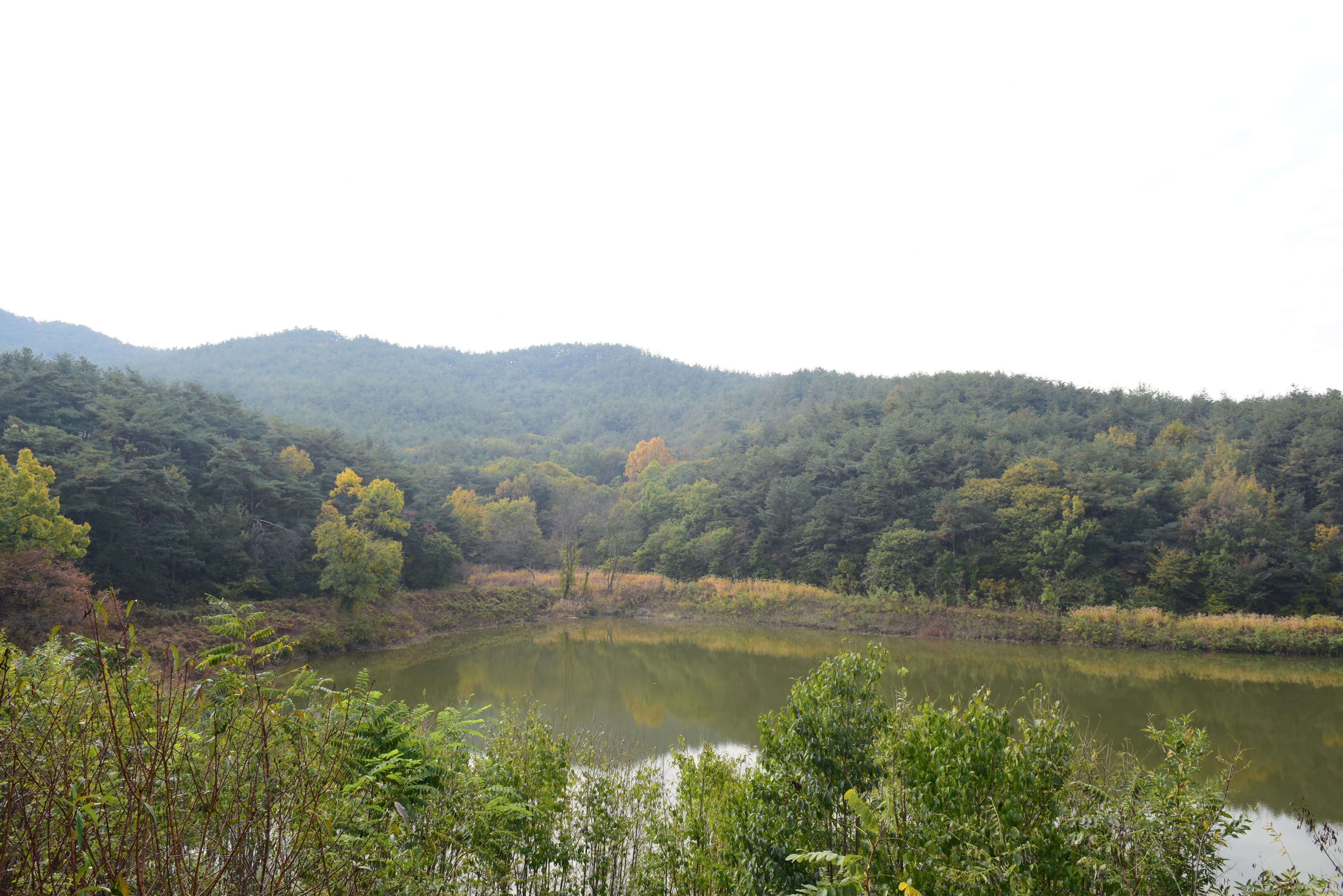 경주 남산신성 — 경주 남산신성_일원1 (촬영년도 : 2015년)