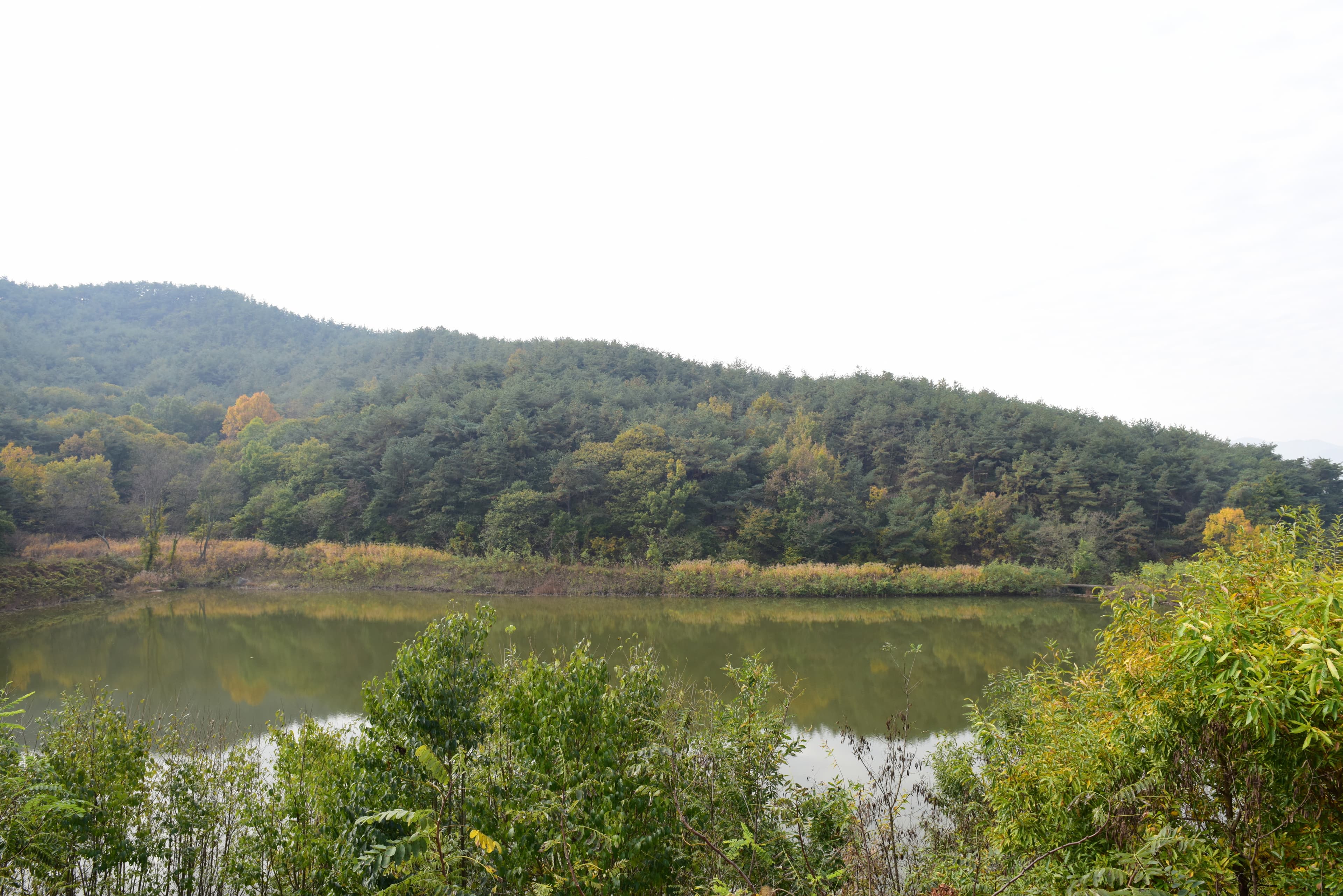 경주 남산신성 — 경주 남산신성_일원2 (촬영년도 : 2015년)