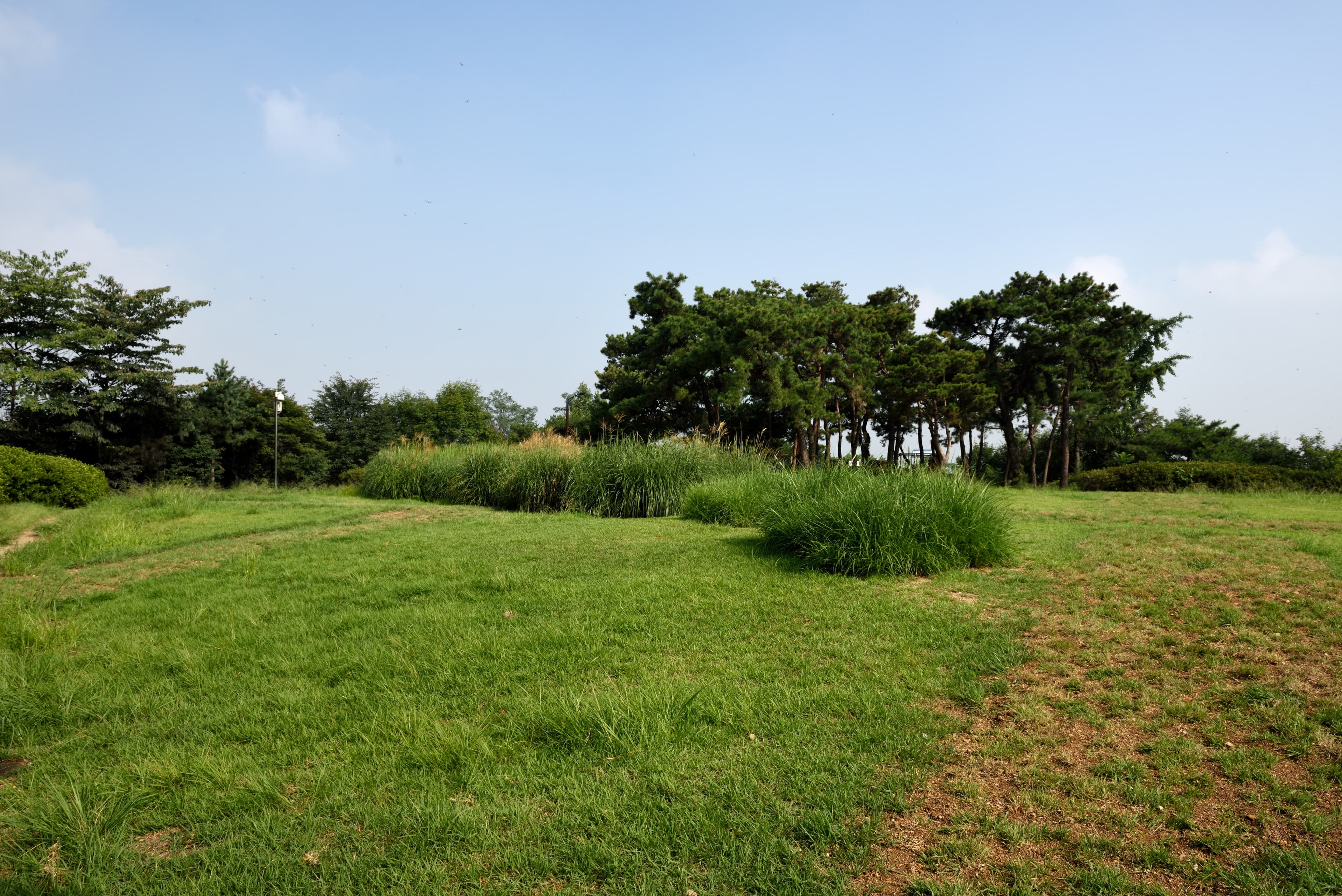 서울 양천고성지 — 서울 양천고성지_2 (촬영년도 : 2015년)