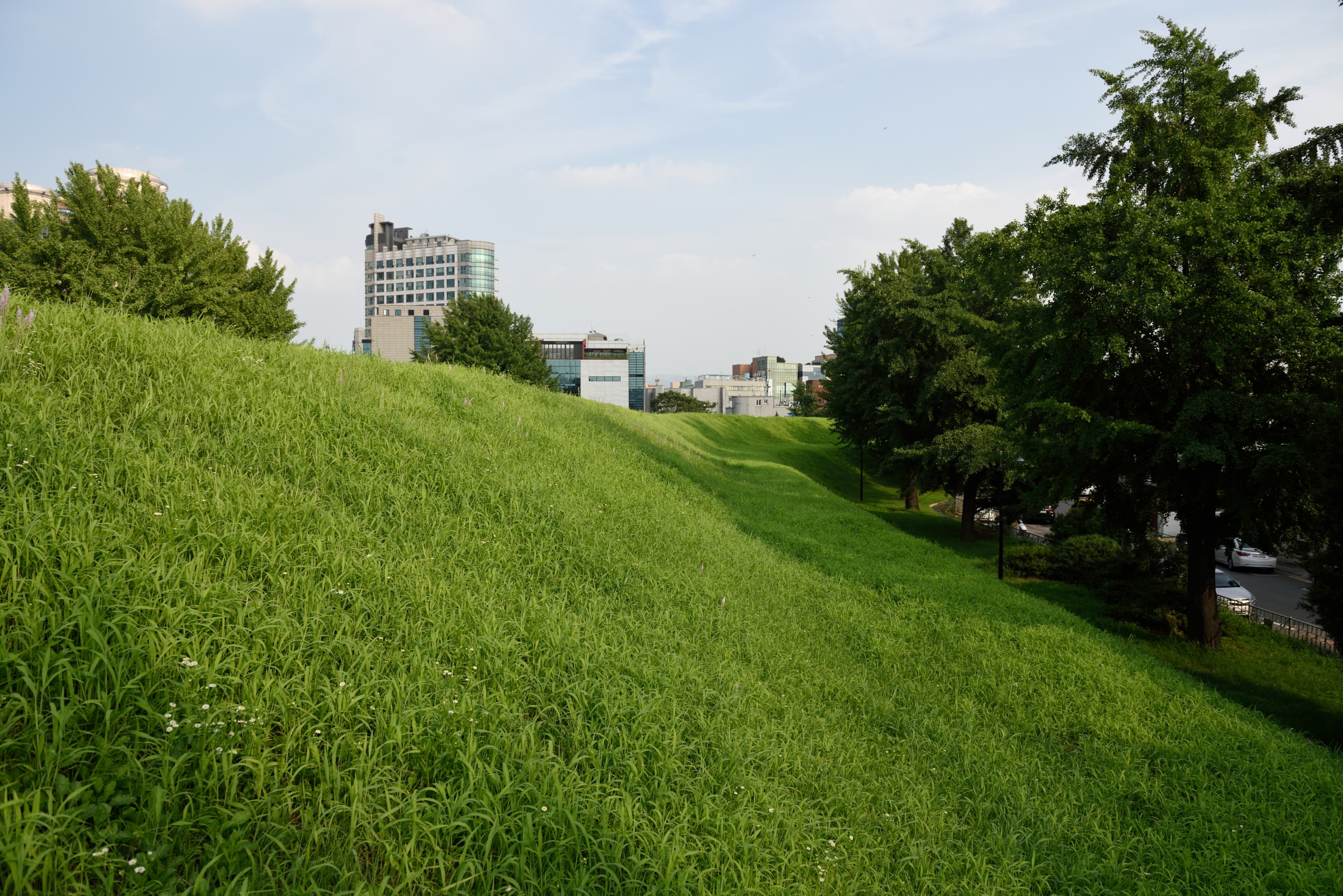 서울 풍납동 토성 — 서울 풍납동 토성_2 (촬영년도 : 2015년)