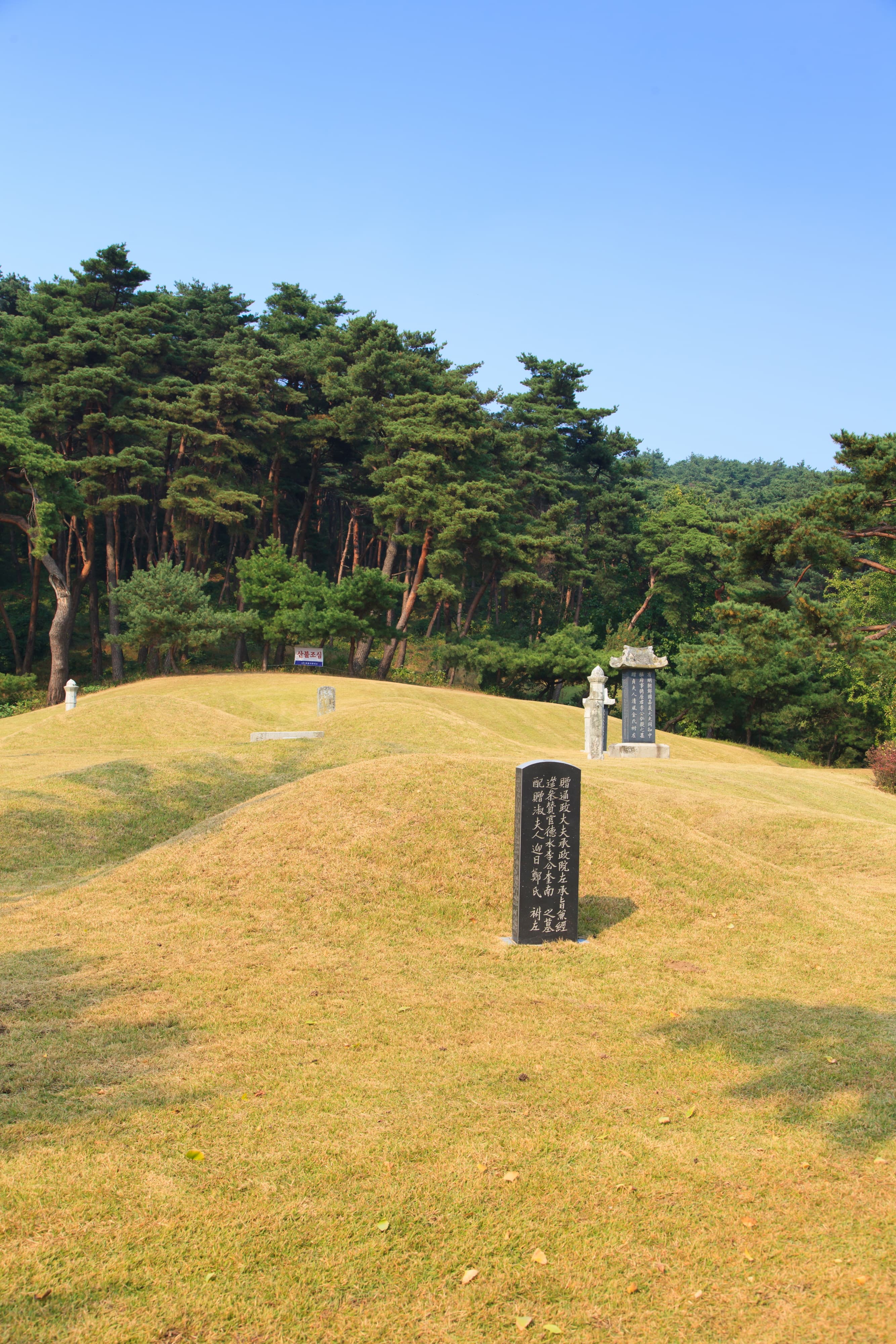 아산 이충무공 유허 — 아산 이충무공 유허_이충무공 후손의 묘 (촬영년도 : 2015년)