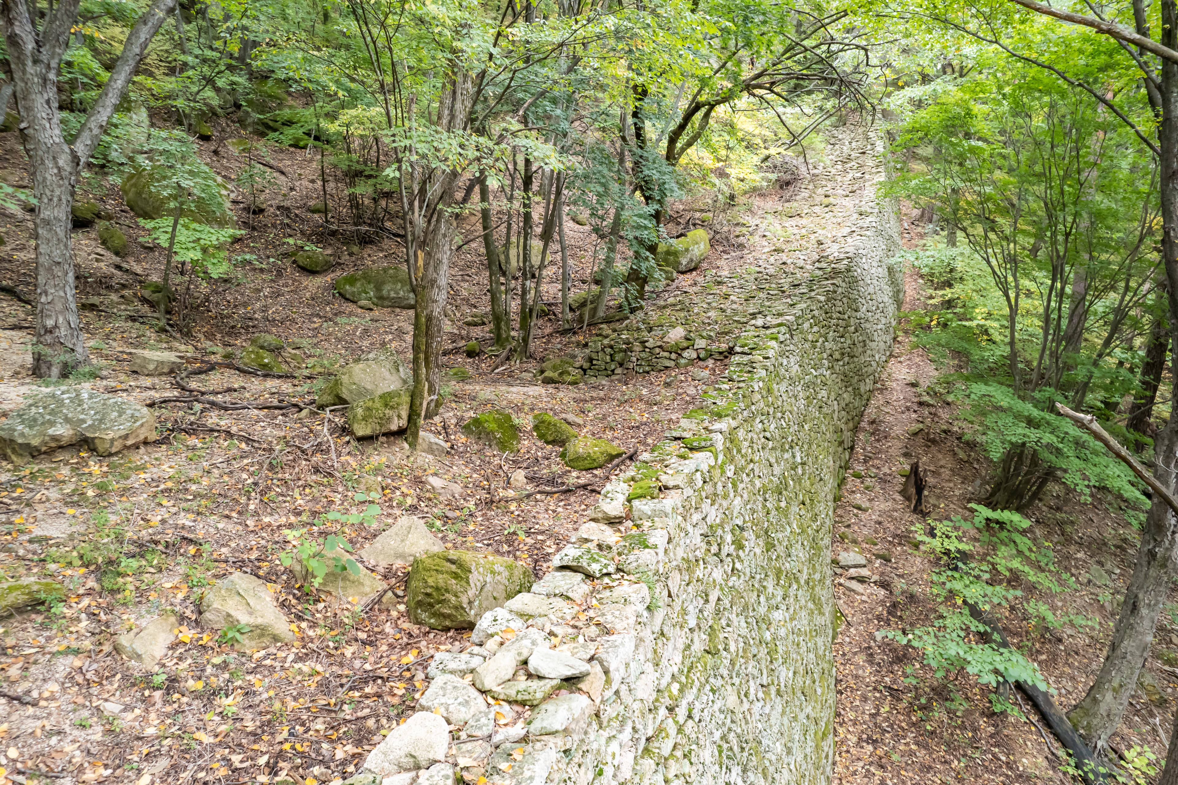 인제 한계산성 — 인제 한계산성