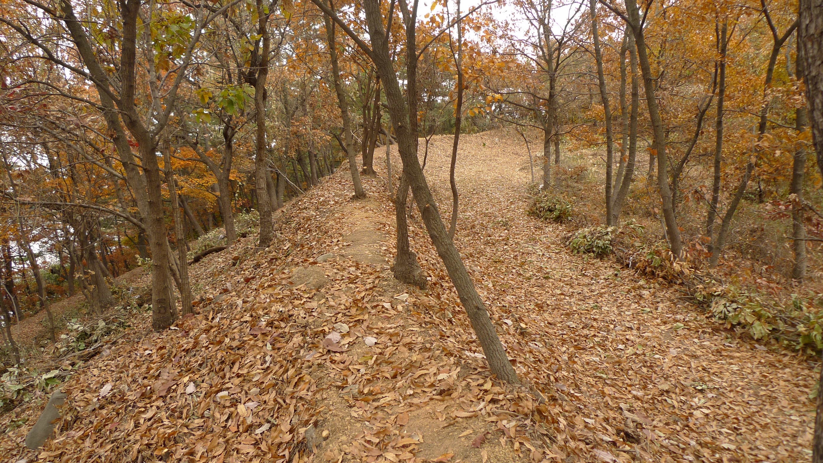 울산 개운포 경상좌수영성 — 울산 개운포 경상좌수영성-북서성벽_20101123 촬영