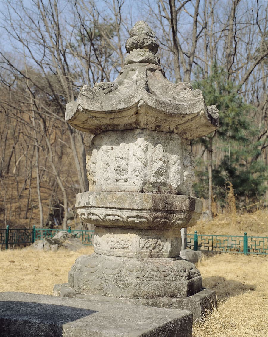 충주 청룡사지 보각국사탑 — 전경