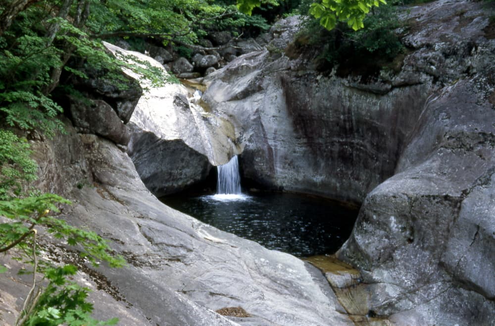 명주 청학동 소금강 — 명주청학동의소금강