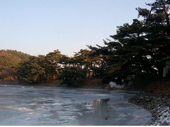 제천 의림지와 제림 — 제천 의림지와 제림 전경