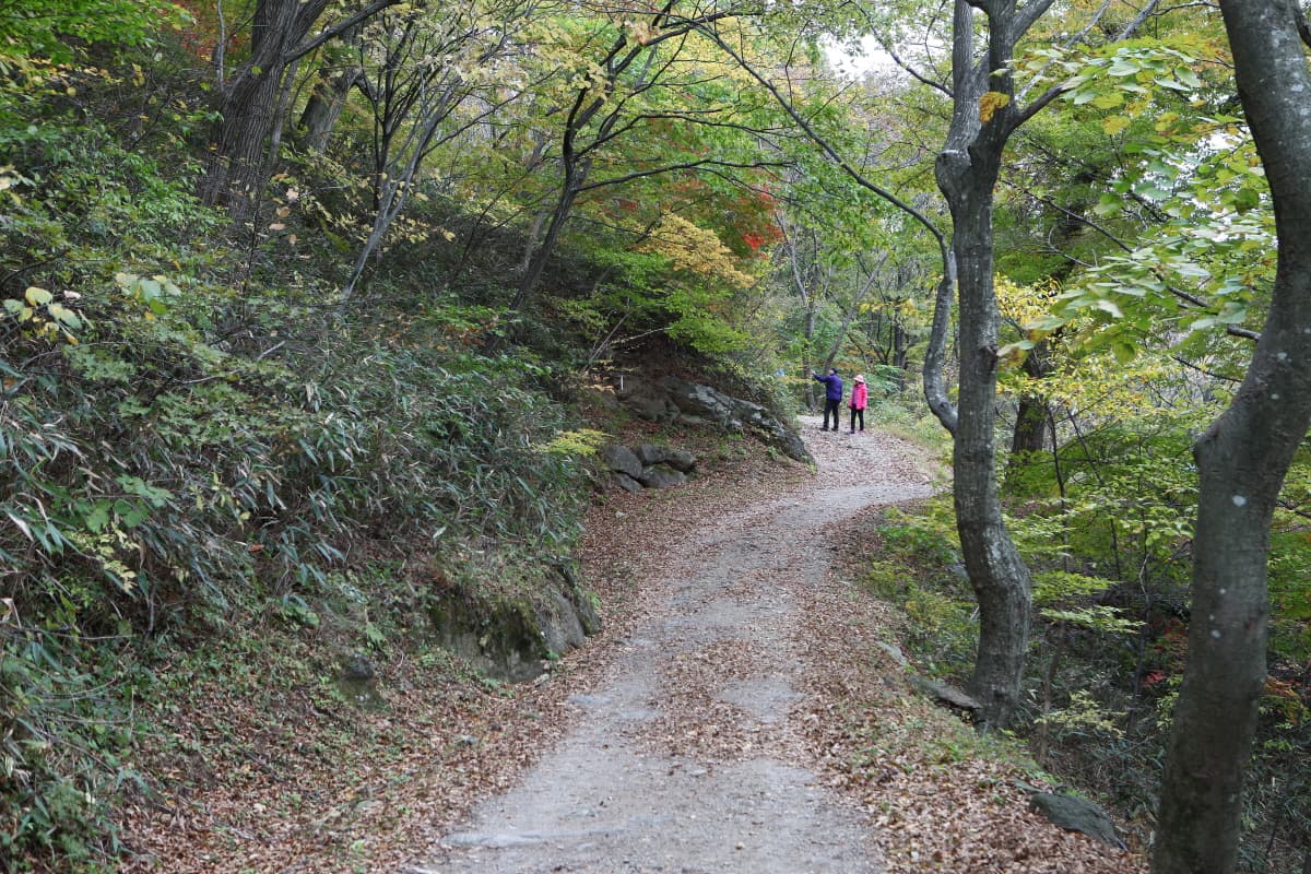 조계산 송광사·선암사 일원 — 송광사·선암사 일원1