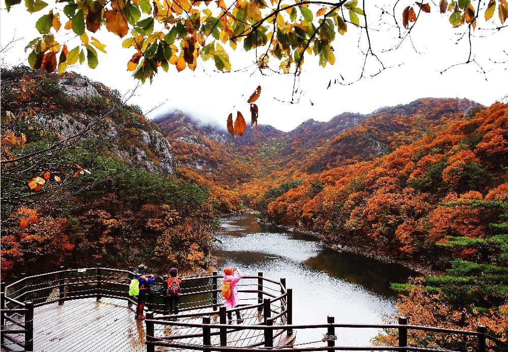 부안 직소폭포 일원 — 문화재청, 부안군