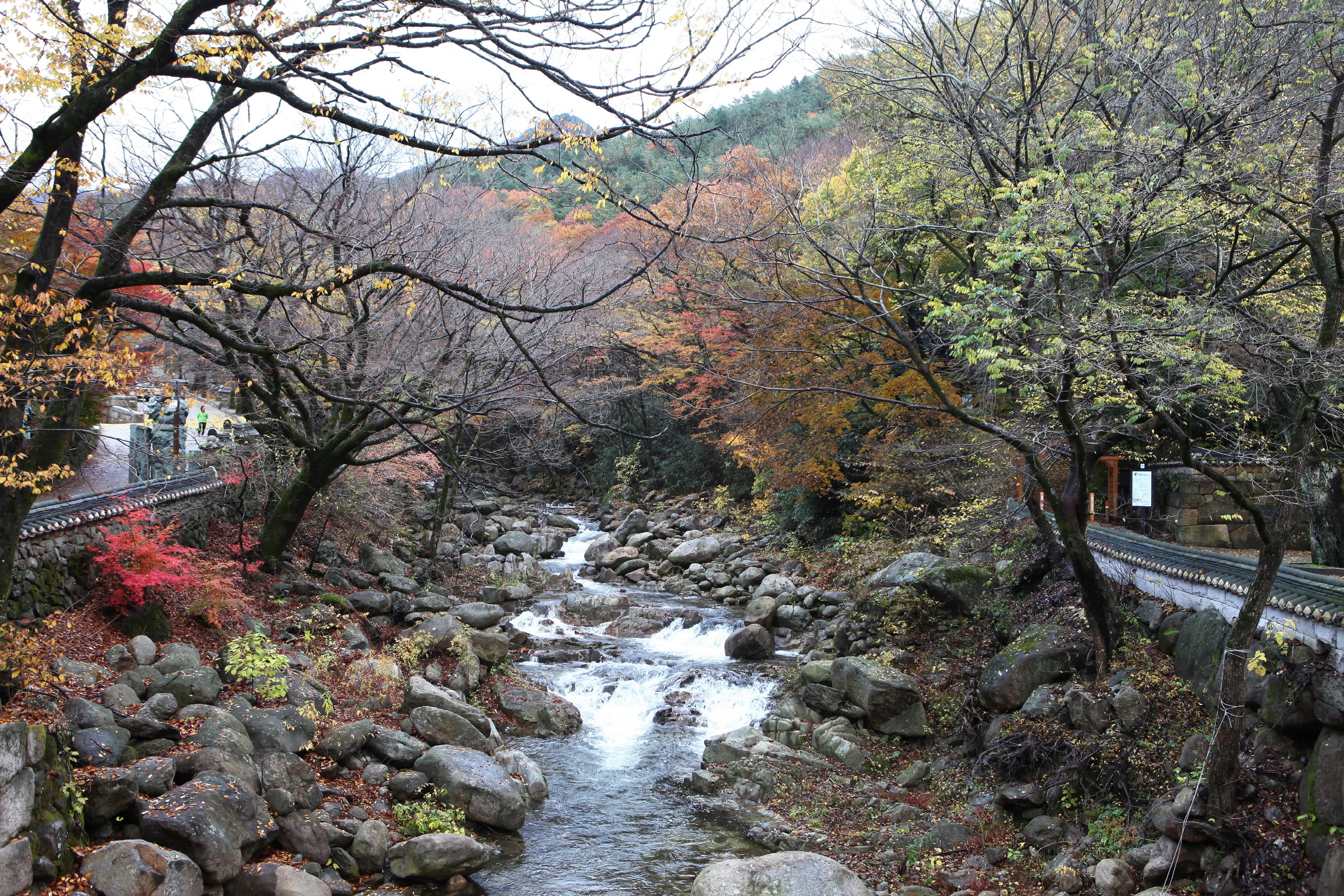 지리산 화엄사 일원 — 지리산 화엄사 일원_계곡 (촬영년도 : 2015년)