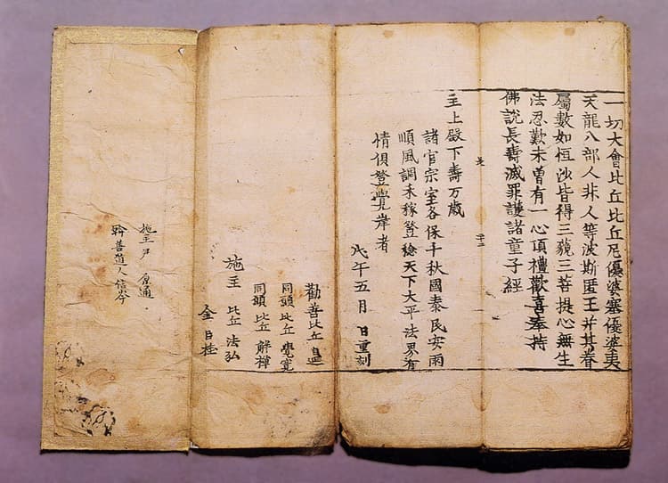 불설장수멸죄호제동자경 — 불설장수멸죄호제동자경(佛說長壽滅罪護諸童子經)