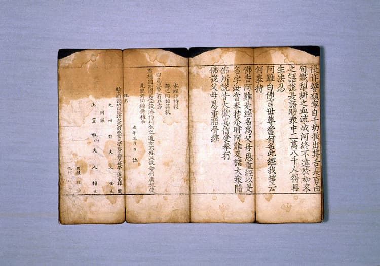 불설대보부모은중경(1981) — 불설대보부모은중경(佛說大報父母恩重經)