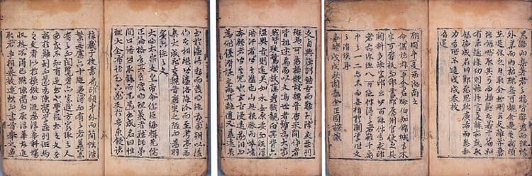 성리대전서절요(1993) — 김정국지문