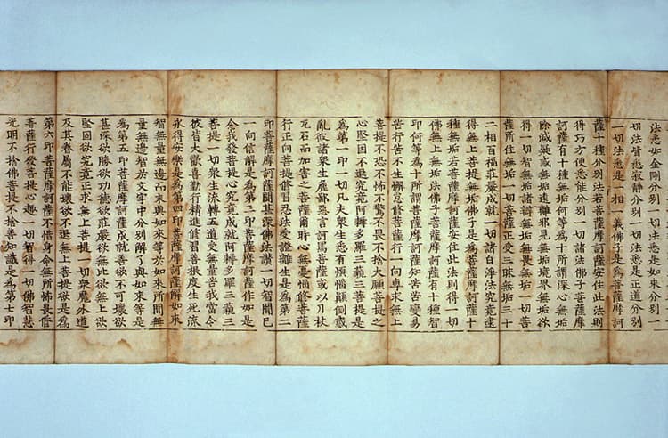 대방광불화엄경 진본 권38 — 권38 본문