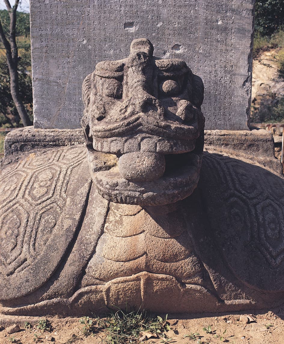 충주 정토사지 법경대사탑비 — 충주 정토사지 법경대사탑비 귀부의 머리