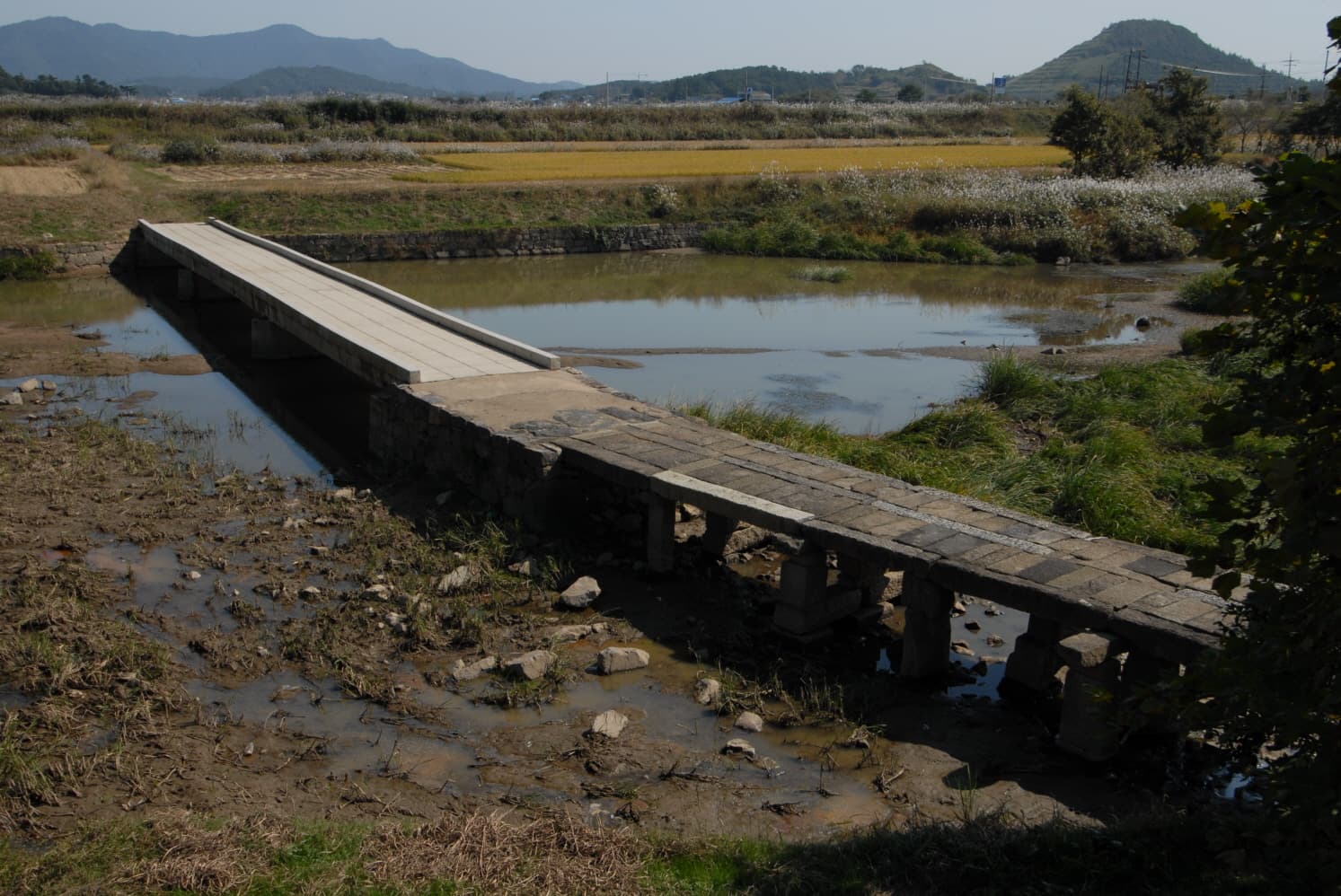 함평 고막천 석교 — 함평 고막천 석교