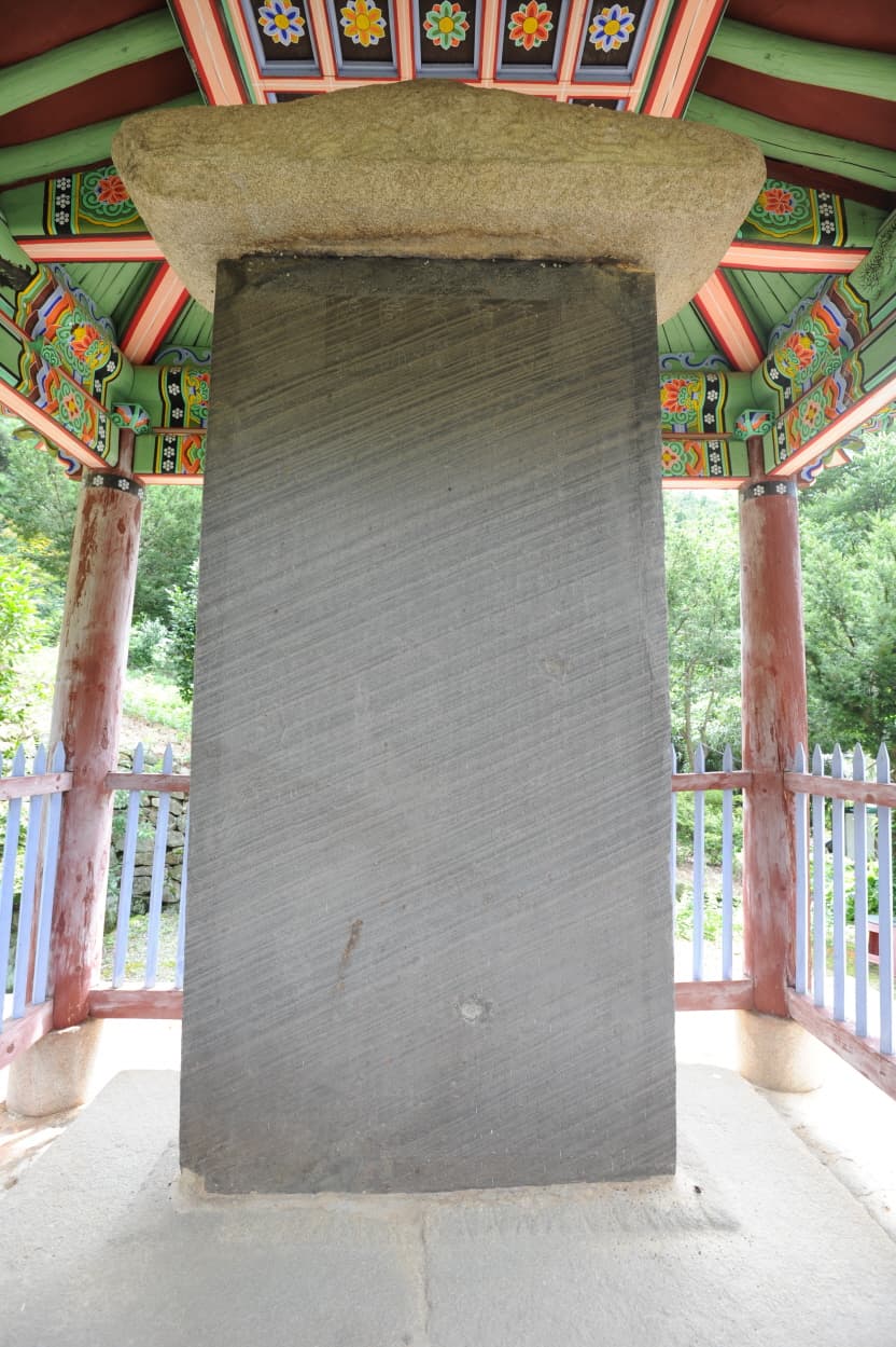 칠곡 선봉사 대각국사비 — 칠곡 선봉사 대각국사비 (촬영:문화재청)